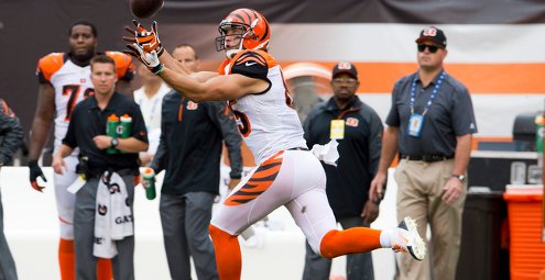 Tight End